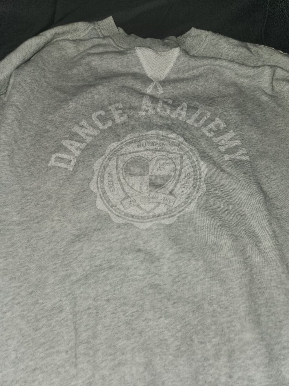 Aerie "Dance Academy" Oversized Graphic Gray Sweatshirt - Size Large